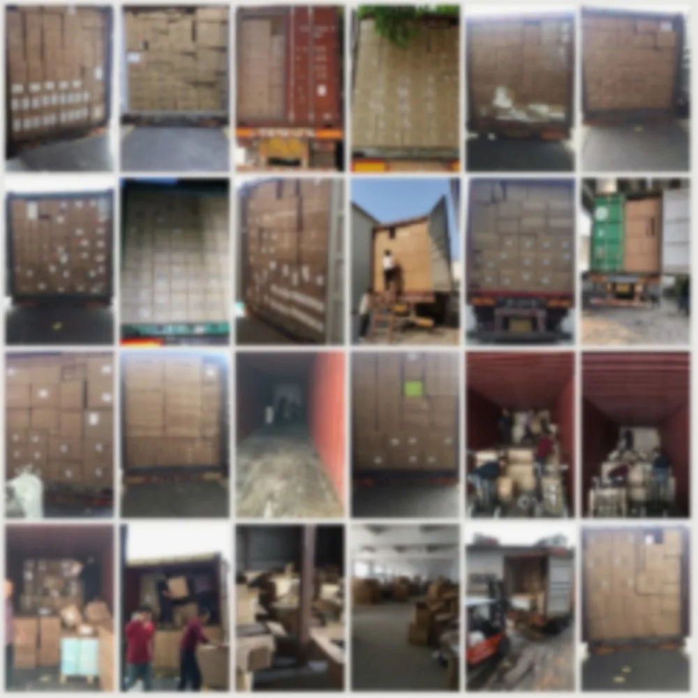 China sourcing agent supervising carton loading and container shipment at warehouse